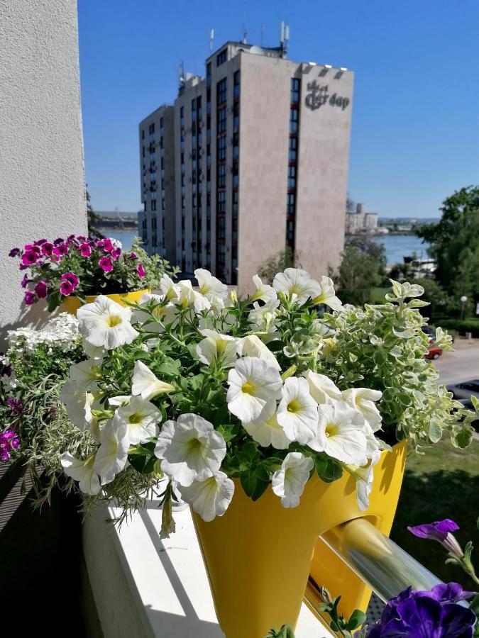 Serbona apartment Kladovo Exterior foto